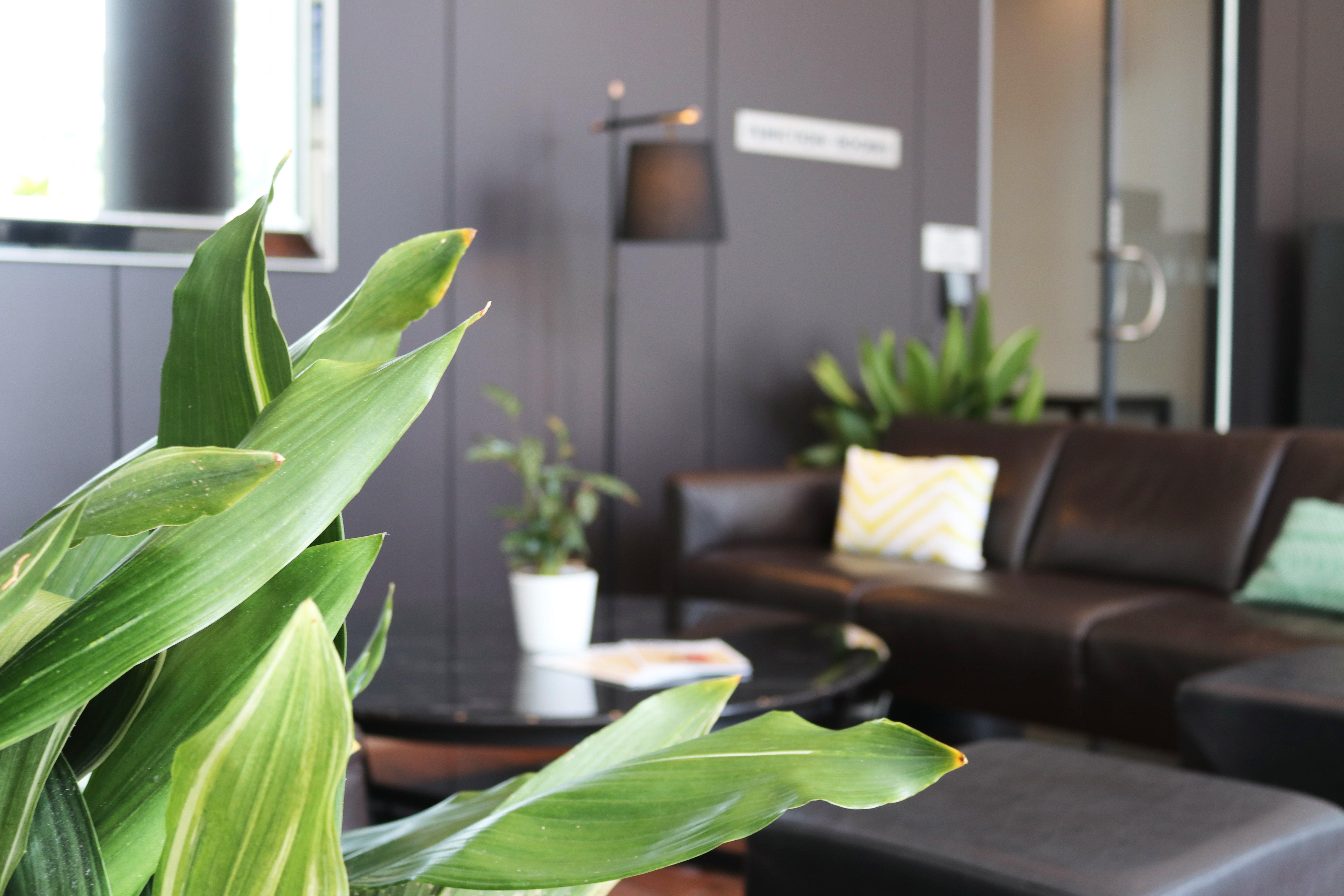 Crowne Plaza Sydney Airport By Ihg Hotel Bagian luar foto